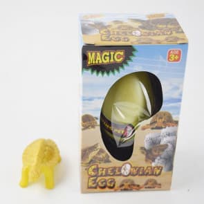 Magic Hatching Animal Egg - Turtle