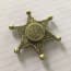 Sheriff Star Fidget Spinner