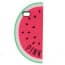 PINK Red Watermelon Case for Galaxy S4